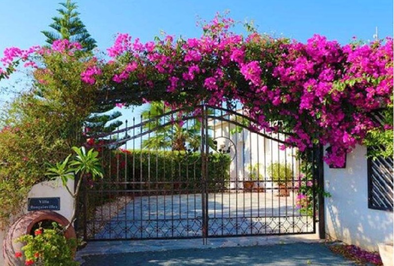 Những lưu ý khi muốn xây cổng nhà đẹp ở nông thôn