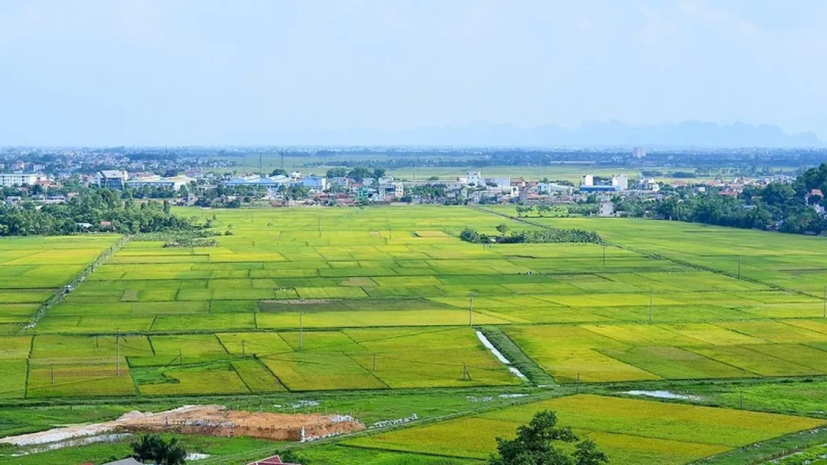 Trường hợp được giảm tiền chuyển đổi mục đích sử dụng đất