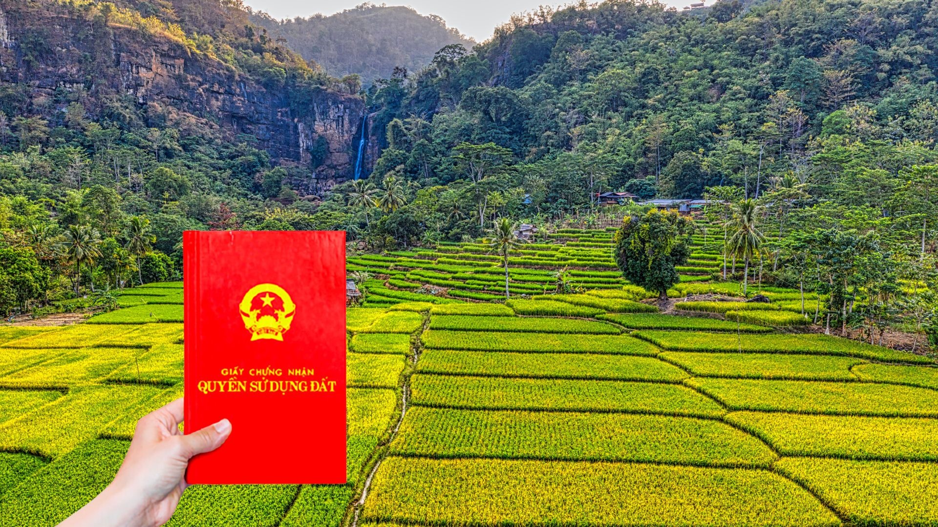 Tra cứu thông tin sổ đỏ là nhu cầu của hầu hết những người đang sử dụng đất