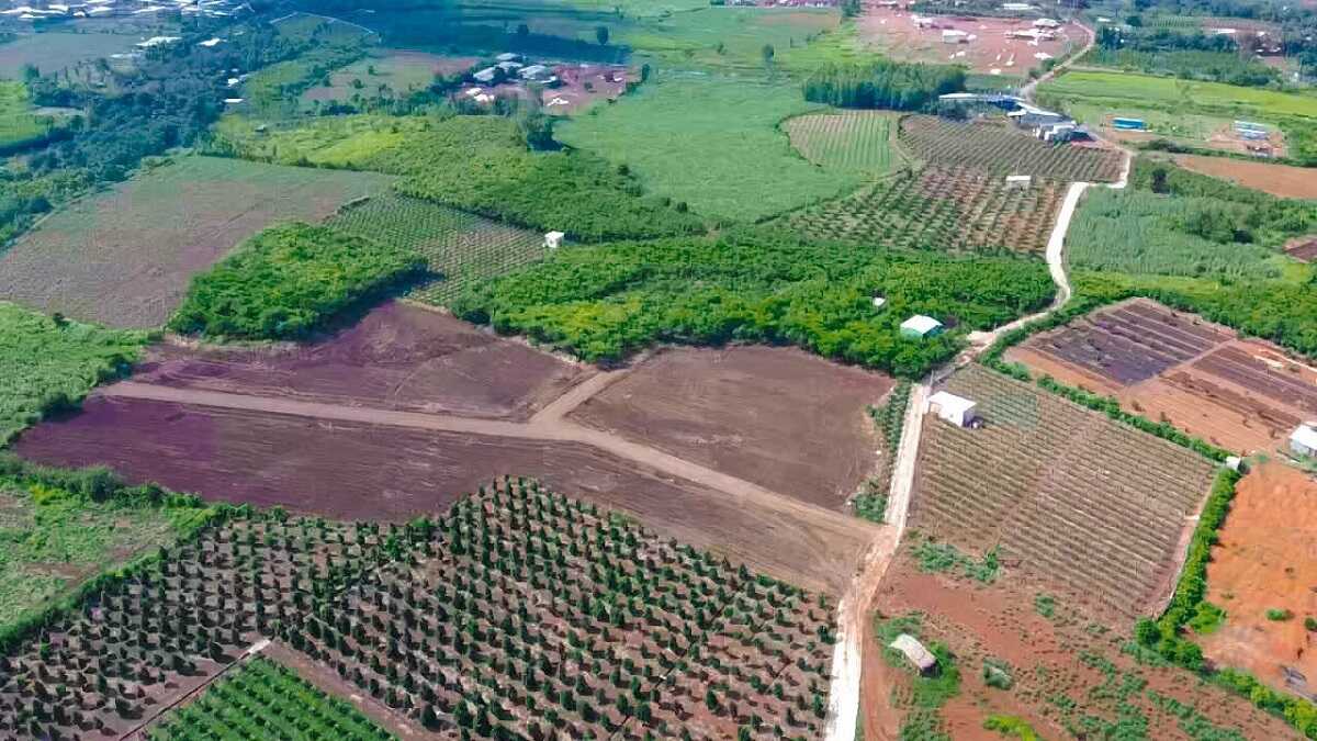 Có thể chuyển đổi đất nông nghiệp 50 năm thành đất ở