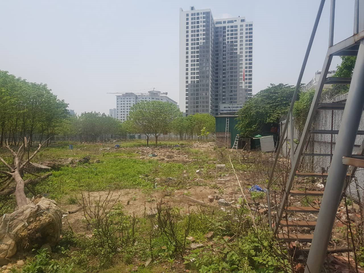 Bên trong dự án Five Star Residence mọc um tùm cây cỏ