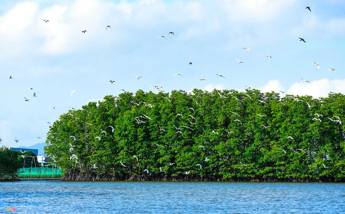 Cồn Chim Quy Nhơn là thắng cảnh đẹp