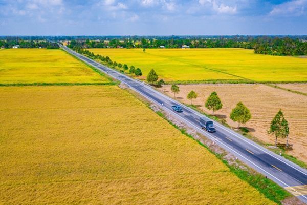 1 công đất bao nhiêu m2? Cách đổi đơn vị chuẩn xác 2024