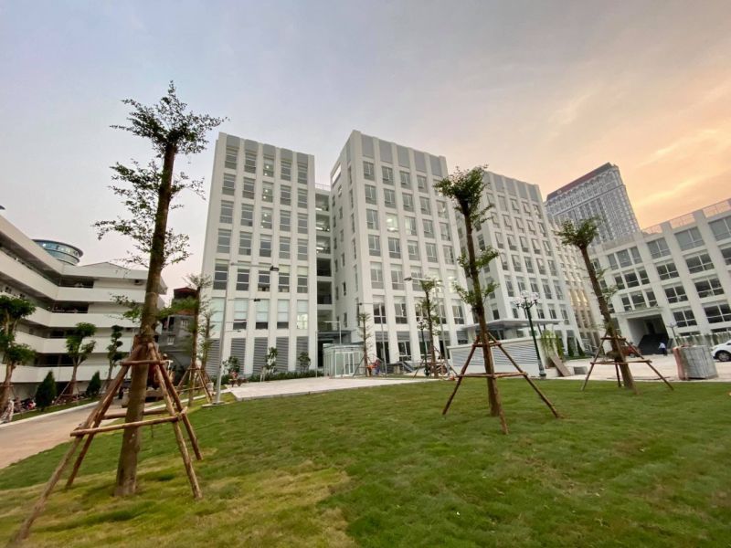 DNG Là Đất Gì? Những Quy Định Về Việc Sử Dụng Đất DNG