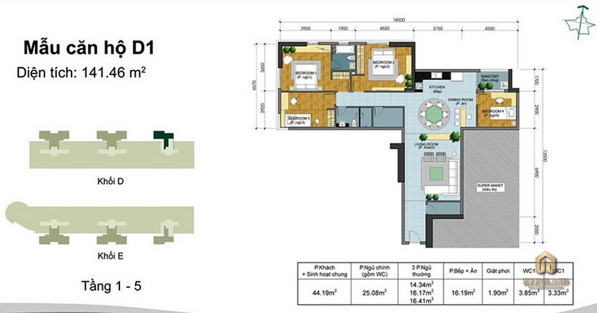 Thiết kế các loại hình căn hộ dự án Belleza Apartment