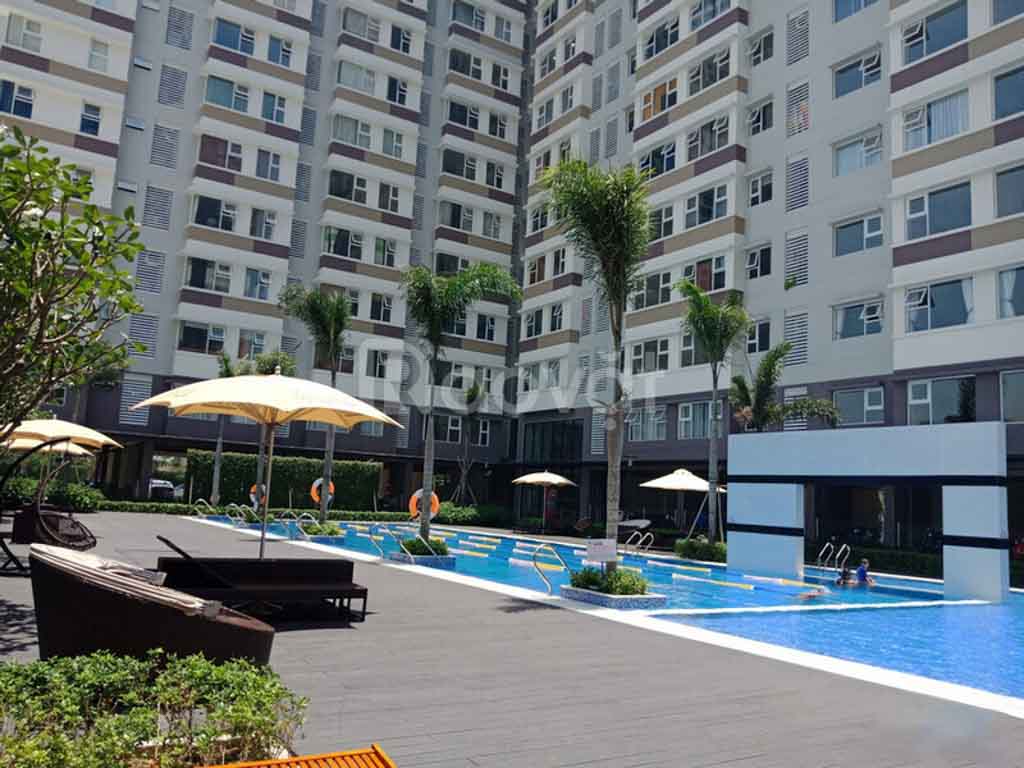 Hồ bơi nằm giữa 2 block