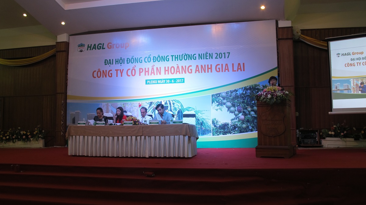 Công ty Hoàng Anh Gia Lai là chủ đầu tư dự án