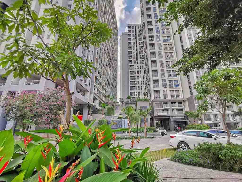 Không gian xanh bên dưới các block