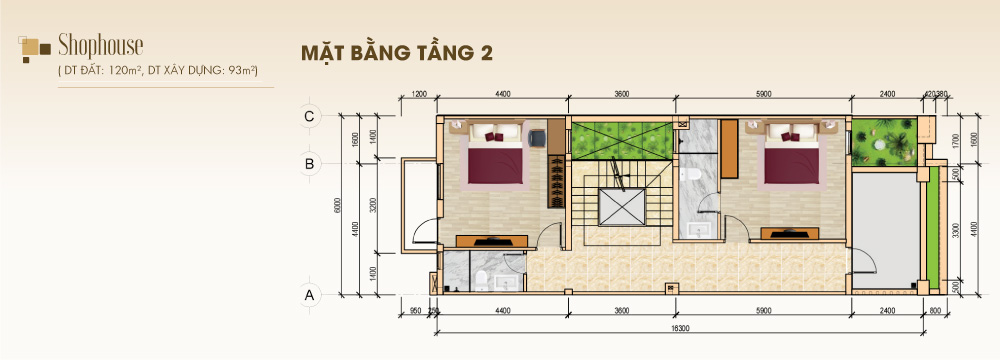 Thiết kế shophouse dự án STC Long Thành