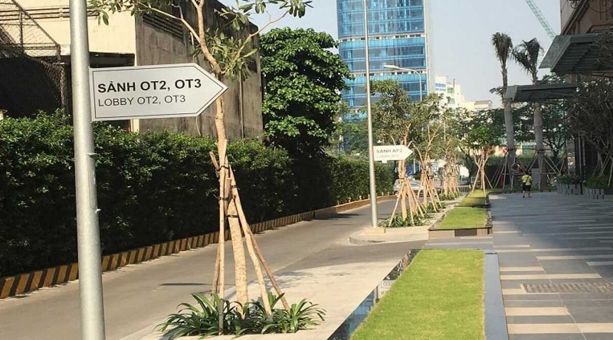 Đường dạo bộ xanh mát