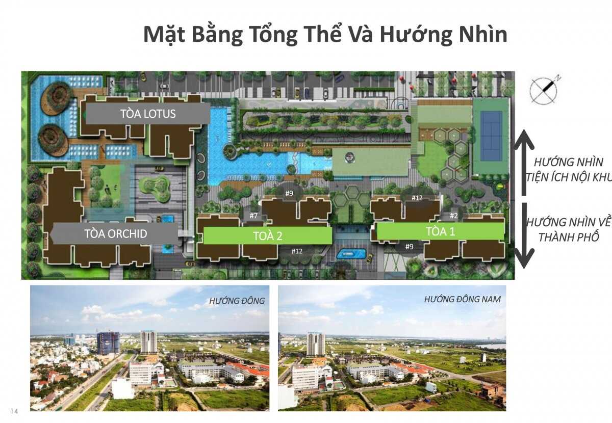 Mặt bằng tổng thể dự án Vista Verde