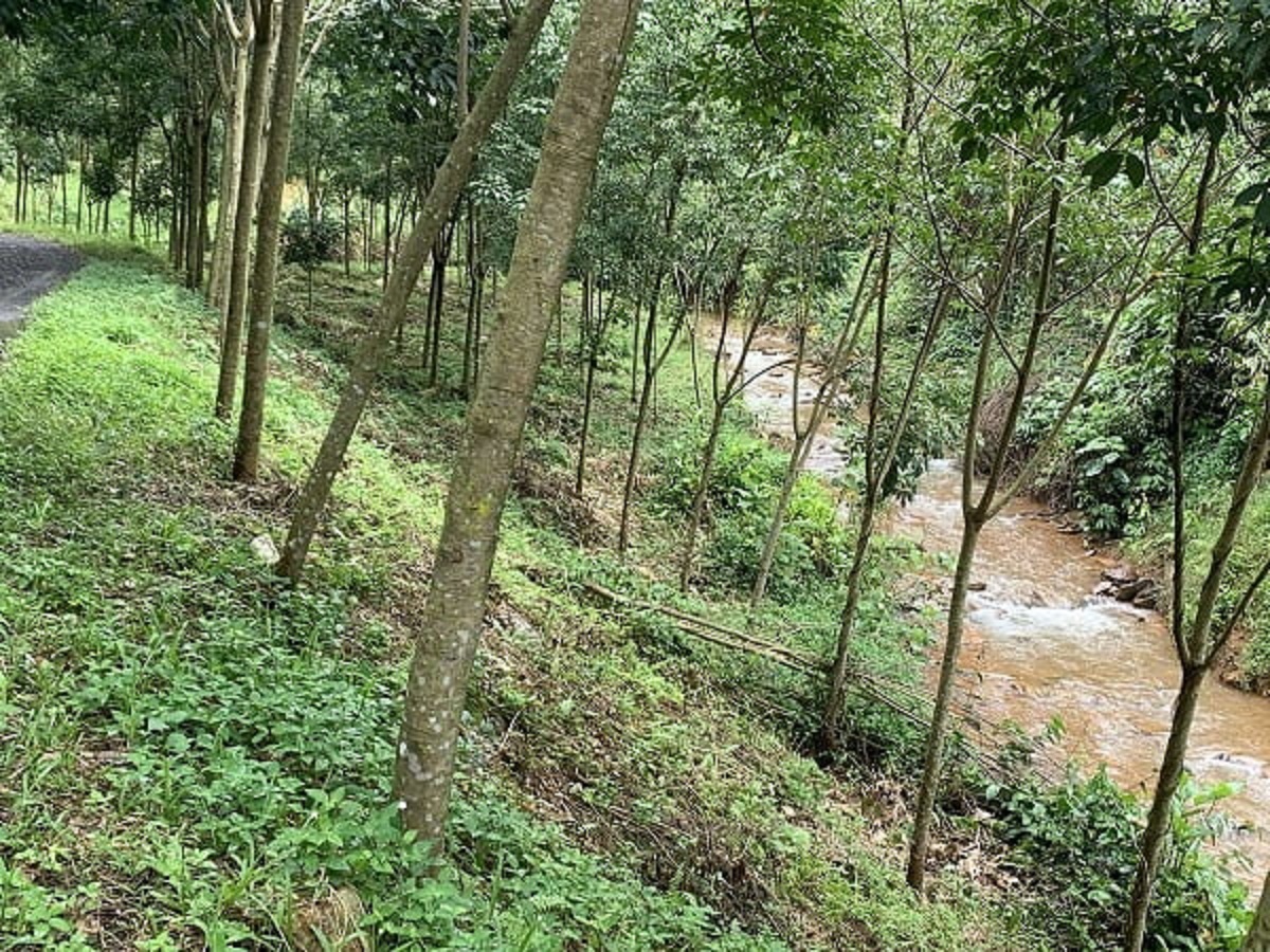 Bài đăng bán đất ký gửi