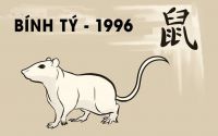 sinh nam 1996 menh gi