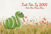 sinh nam 2001 menh gi