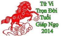 sinh nam 2014 menh gi