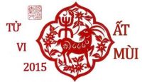 sinh nam 2015 menh gi