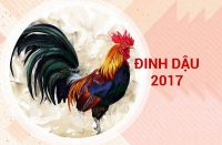 sinh nam 2017 menh gi