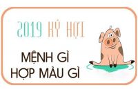 sinh nam 2019 menh gi