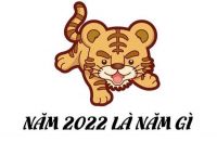 sinh nam 2022 menh gi