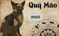 sinh nam 2023 menh gi  tu vi chinh xac ve tuoi quy mao