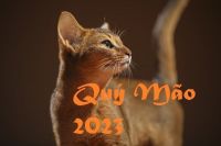 tuoi xong dat nam 2023
