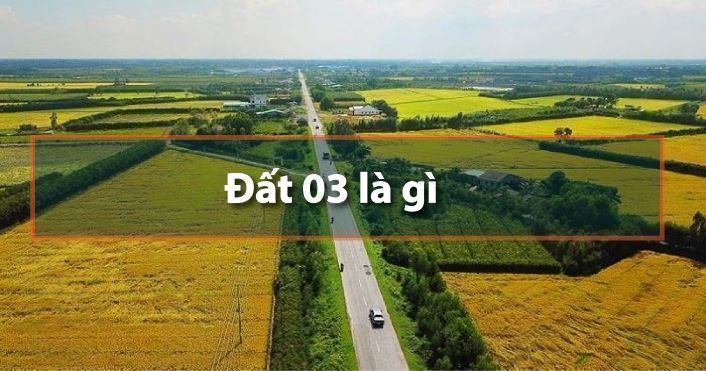 dat 03 la gi