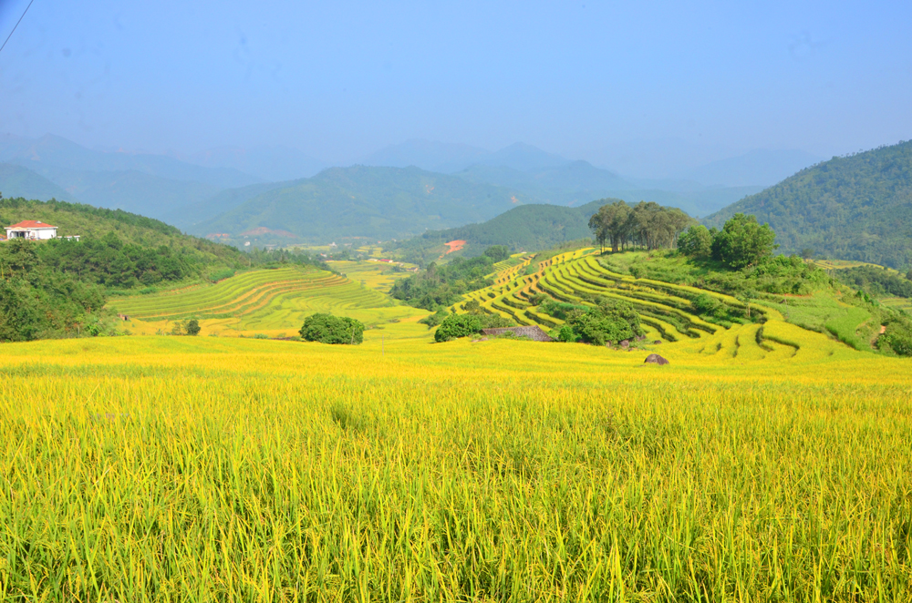 Đất LUN