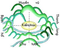 dau hieu dat vuong khi