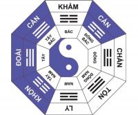 dong tu trach
