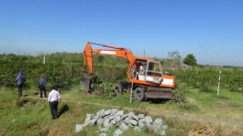 Cập Nhật Giá Đền Bù Đất Nông Nghiệp Theo Quy Định 2024
