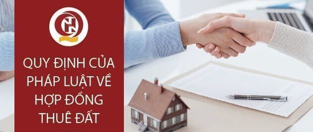 [Mới] Hợp đồng thuê đất theo quy định Pháp Luật [Update 2024]