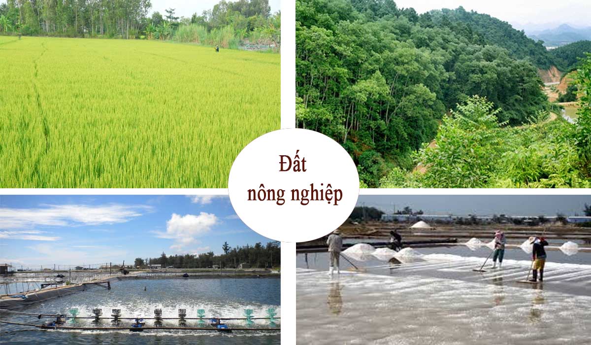 Đất nông nghiệp được phân loại thành nhiều nhóm
