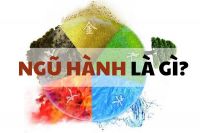 ngu hanh