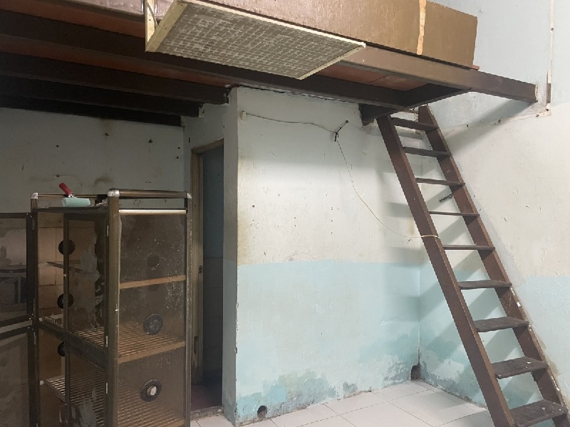 Tránh thuê phòng thông cửa chính và cửa sau