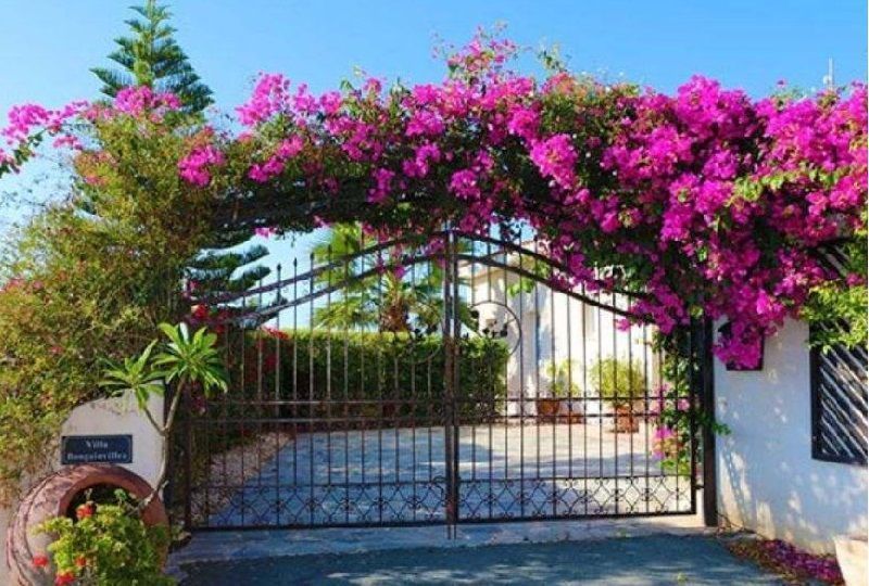 cong nha dep o nong thon