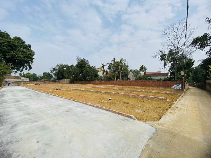 Bí quyết đầu tư đất nền phân lô hiệu quả, sinh lời cao