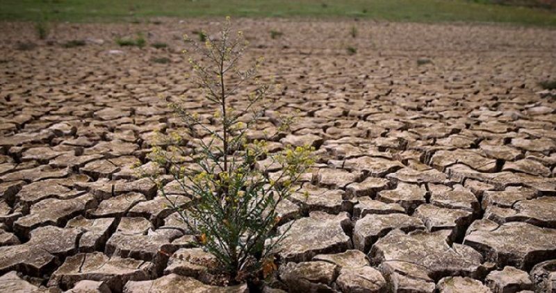 Xói mòn đất gây ảnh hưởng đến môi trường
