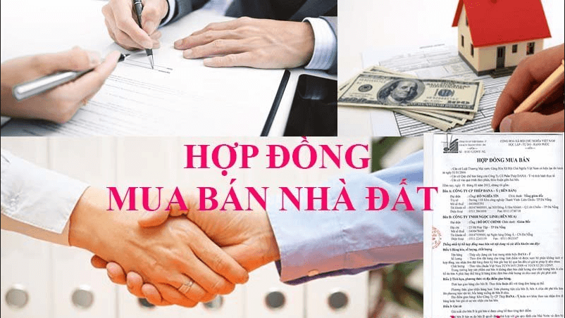 Hợp đồng mua bán đất đơn giản