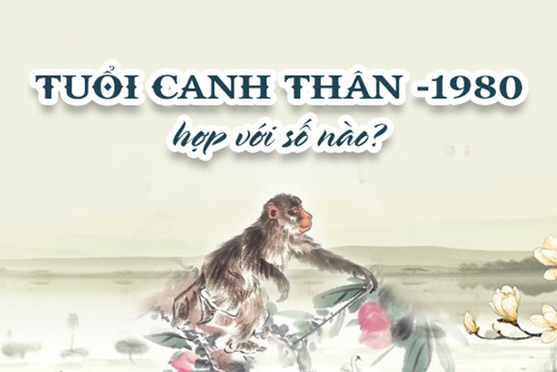 Những con số may mắn của người tuổi Canh Thân